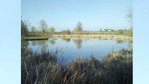 Etang de pêche du camping les chênes à valençay