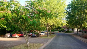 Parking du camping les chênes